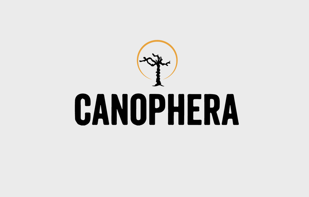 Canophera