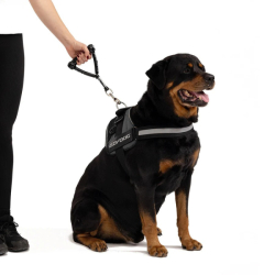 EZYDOG VODÍTKO MONGREL™ 