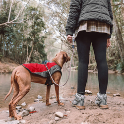 EZYDOG VESTA ELEMENT JACKET