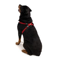 EZYDOG POSTROJ CHEST PLATE HARNESS + CAR RESTRAINT - BLK