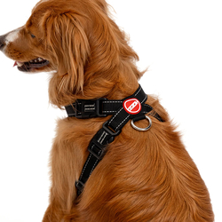 EZYDOG POSTROJ CHEST PLATE HARNESS + CAR RESTRAINT - BLK