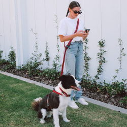 EZYDOG VODÍTKO ROAD RUNNER LEASH™ - RED