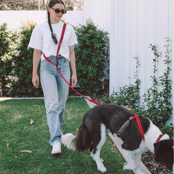 EZYDOG VODÍTKO ROAD RUNNER LEASH™ - DENIM