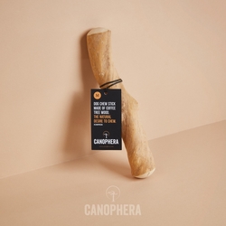 Canophera kávovníkové drevo – žuvacia hračka pre psov M