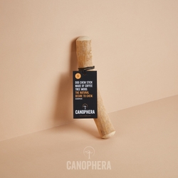 Canophera kávovníkové drevo – žuvacia hračka pre psov S