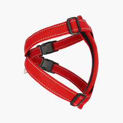 EZYDOG POSTROJ CHEST PLATE HARNESS + CAR RESTRAINT - RED