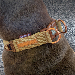 EZYDOG OBOJOK DOUBLE UP COLLAR - Corduroy 2