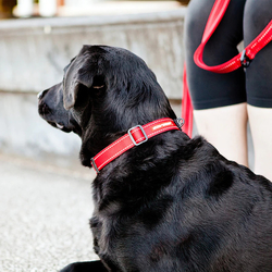 EZYDOG OBOJOK DOUBLE UP COLLAR - červený