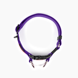 EZYDOG OBOJOK DOUBLE UP COLLAR - Purple