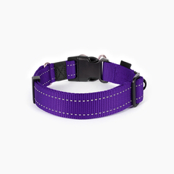 EZYDOG OBOJOK DOUBLE UP COLLAR - Purple