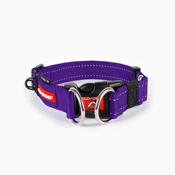 EZYDOG OBOJOK DOUBLE UP COLLAR - Purple