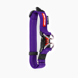 EZYDOG OBOJOK DOUBLE UP COLLAR - Purple