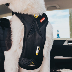 EZYDOG POSTROJ DRIVE CAR HARNESS™ 