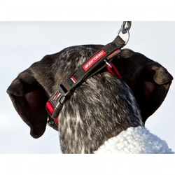 EZYDOG CHECKMATE COLLAR™ - polosťahovací obojok pre psa - FOTO