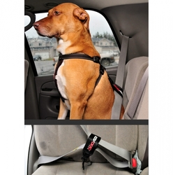 POSTROJ EZYDOG CHEST PLATE™ HARNESS + CAR RESTRAINT - Postroj pre psa  foto2