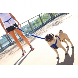 EZYDOG VODÍTKO ROAD RUNNER LITE LEASH™ - RED