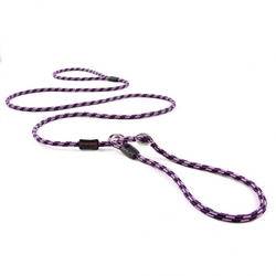 EZYDOG VODÍTKO LUCA LEASH LITE™ - PURPLE