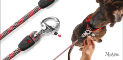 EZYDOG VODÍTKO MARINE LEASH™ - ORANGE