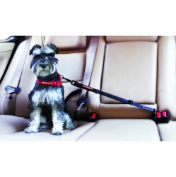 EZYDOG Bezpečnostný pás do auta pre psa TRAVEL SAFE CLICK! 