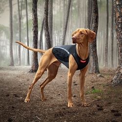 Thermax Dog Vest