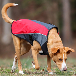 EZYDOG VESTA ELEMENT JACKET