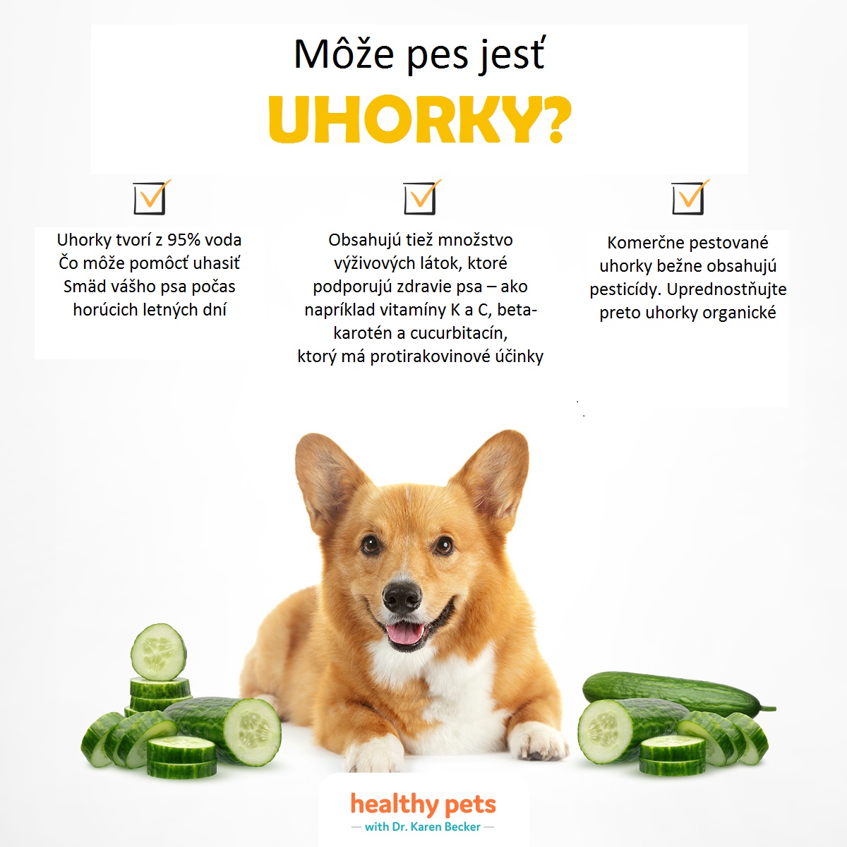 Môže pes jesť uhorky?