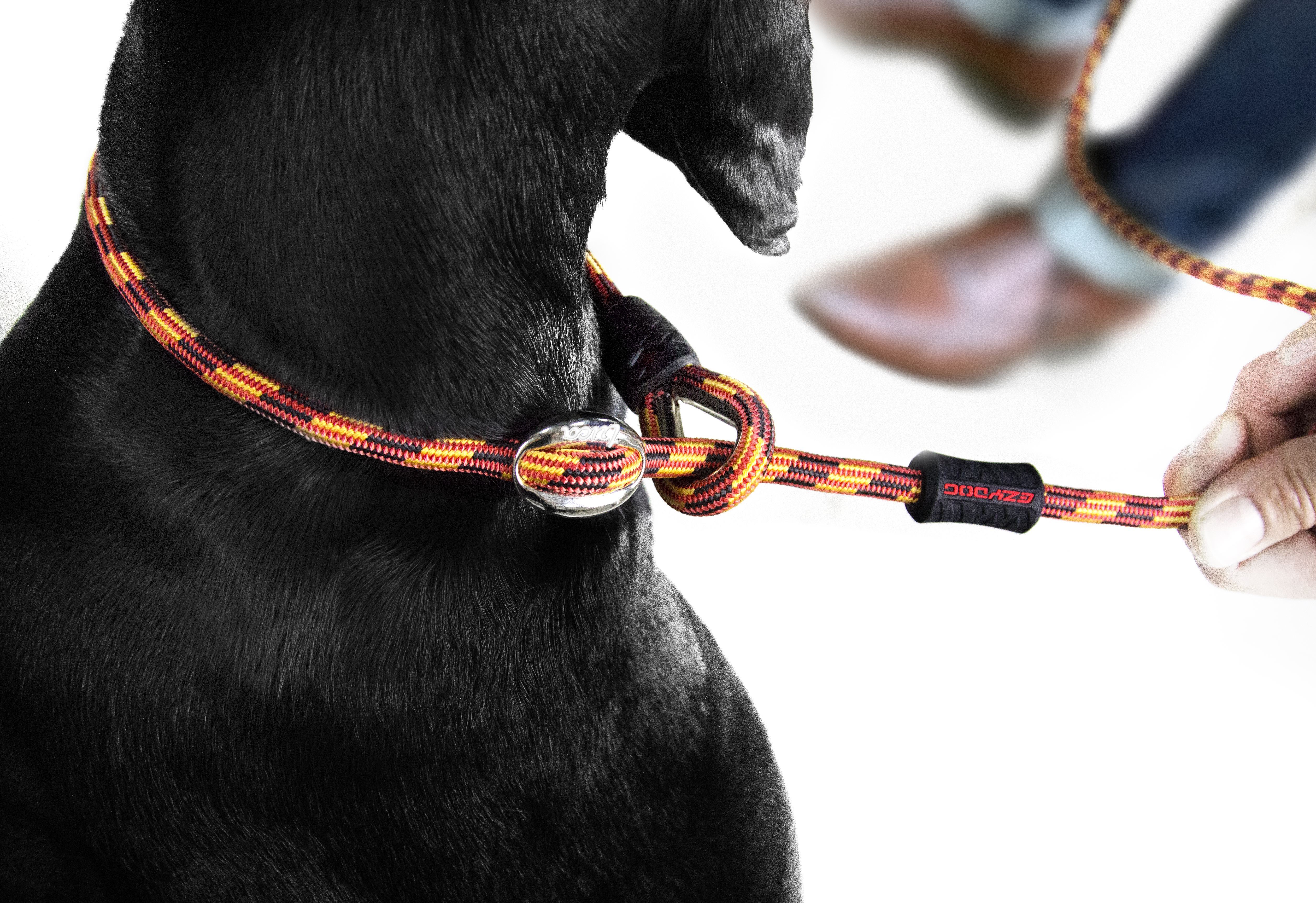 Luca Leash